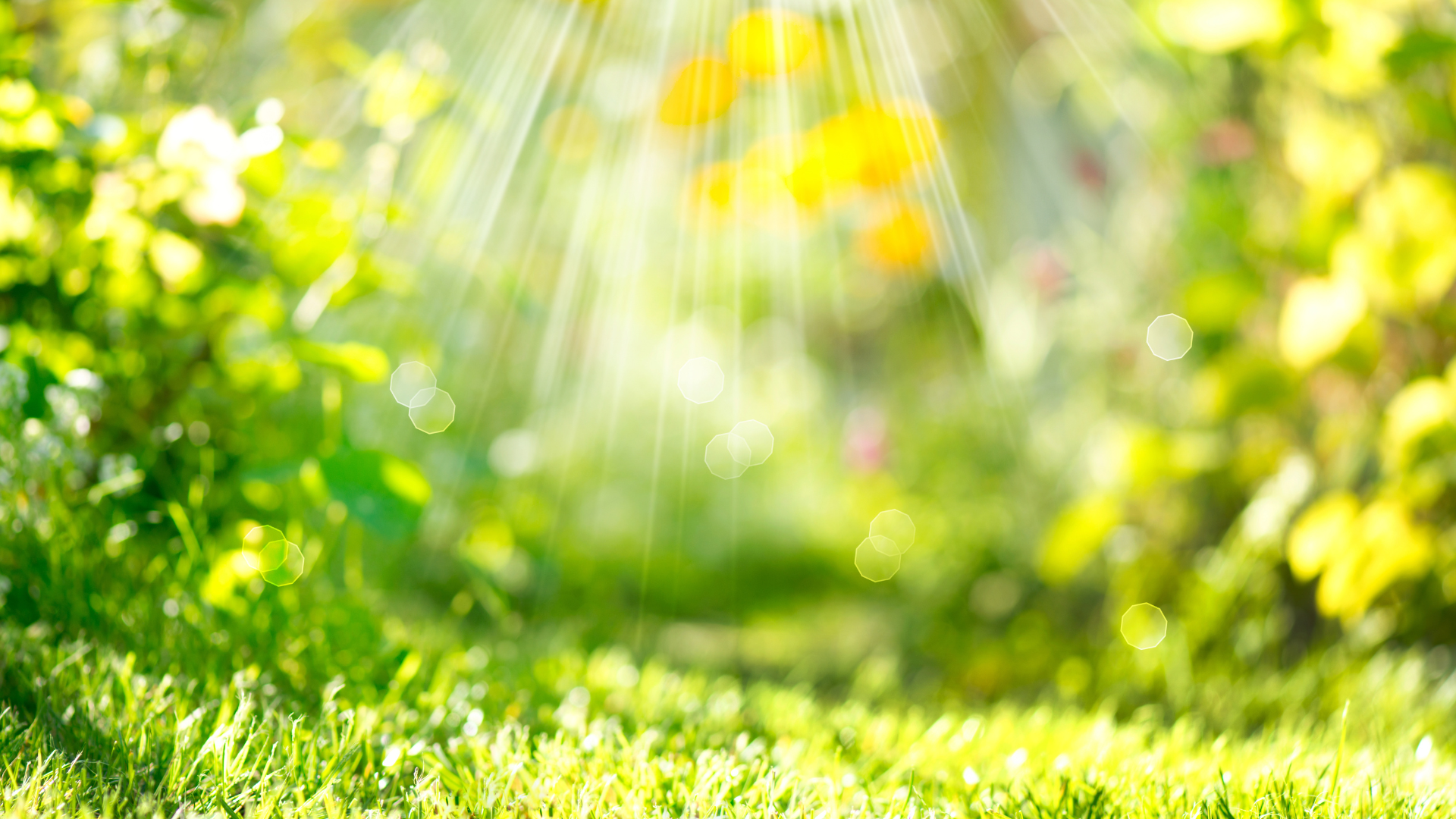 私のヒプノセラピー体験